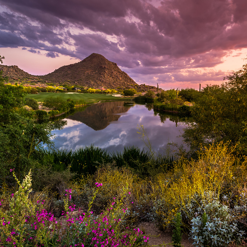 HFC | Depression Treatment Center in Scottsdale AZ